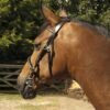 Heritage English Leather In-Hand Show Bridle