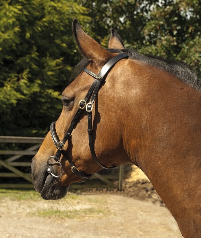 Heritage English Leather In-Hand Show Bridle