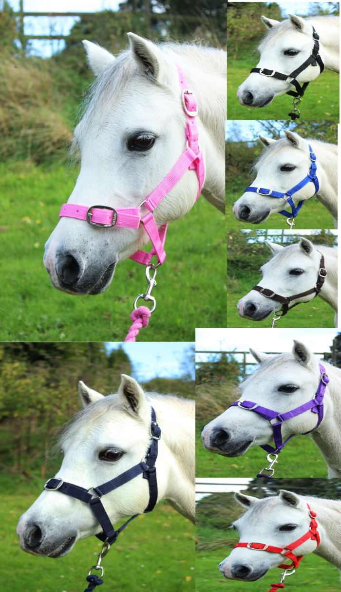 Headcollar & Leadrope Set