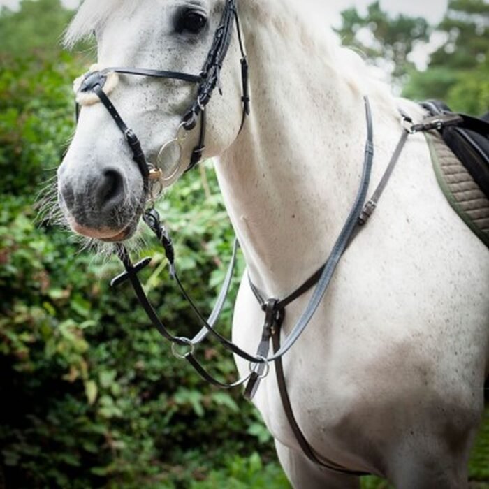 Gallop Leather Breastplate with Martingale Attachment