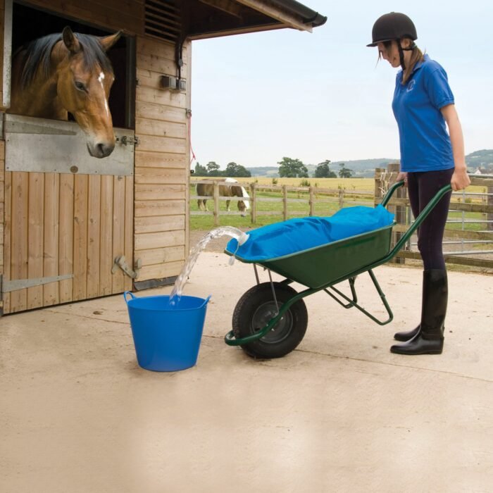 H2Go Water Carrier