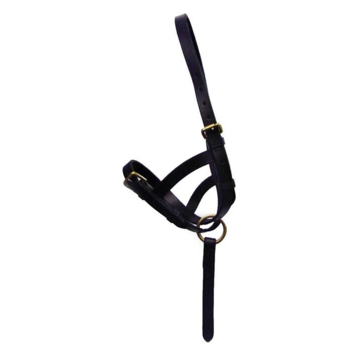 Leather Foal Slip