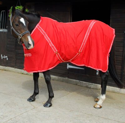 Rhinegold Cotton Summer Sheet