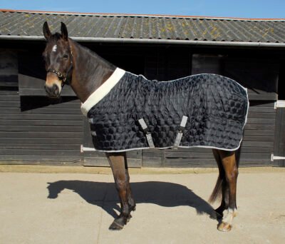 Rhinegold Detroit Stable Rug