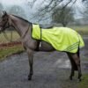 Waterproof Hi Viz Ride-on-Rug