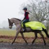 Waterproof Hi Viz Ride-on-Rug