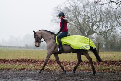 Waterproof Hi Viz Ride-on-Rug