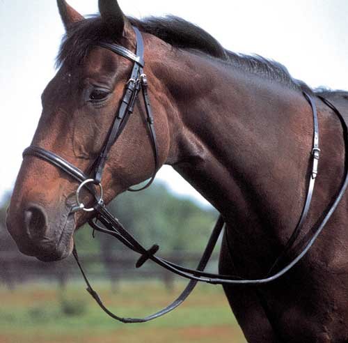 Windsor Leather Standing Martingale