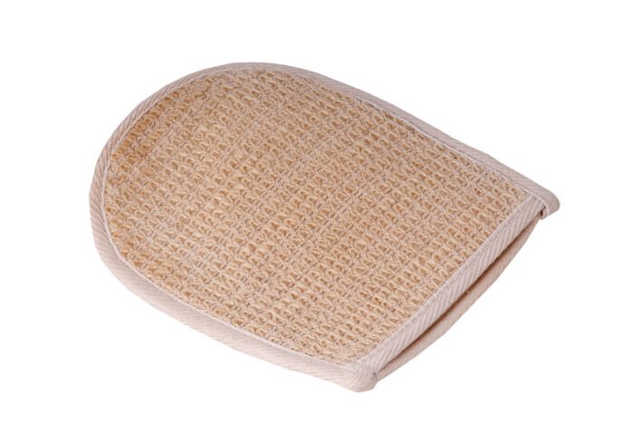 Cactus Grooming Mitt