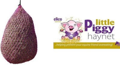 Little Piggy Haynets - Slow Feeder