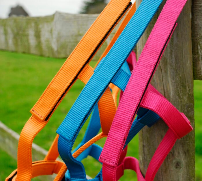 Rhinegold Fieldsafe Headcollar