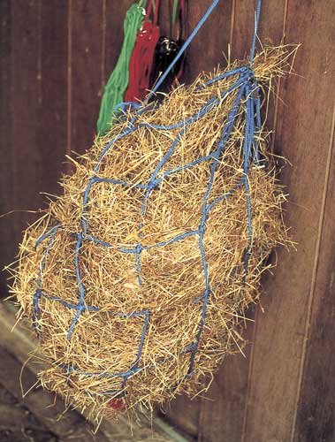 Harlequin Haynet