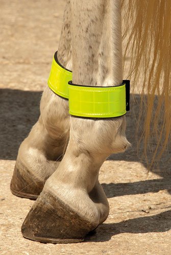 Reflective Leg bands