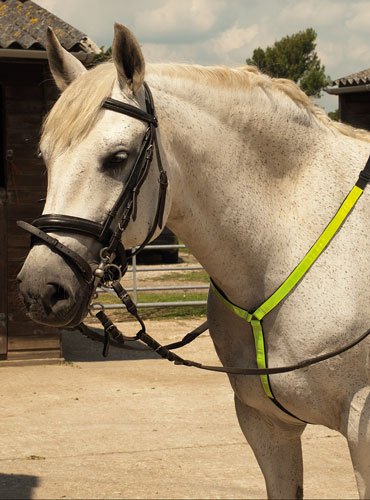 Reflective Martingale