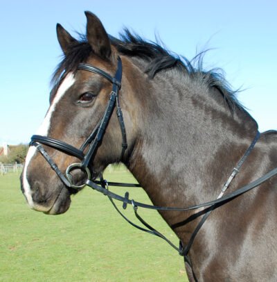 Windsor Leather Running Martingale