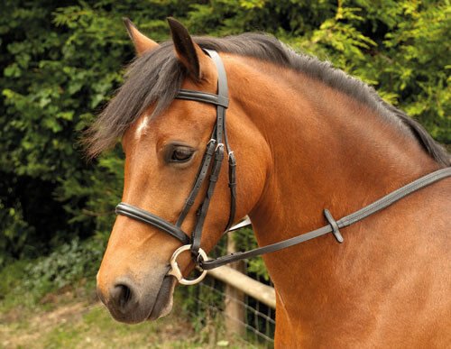 Windsor Leather Snaffle Bridle