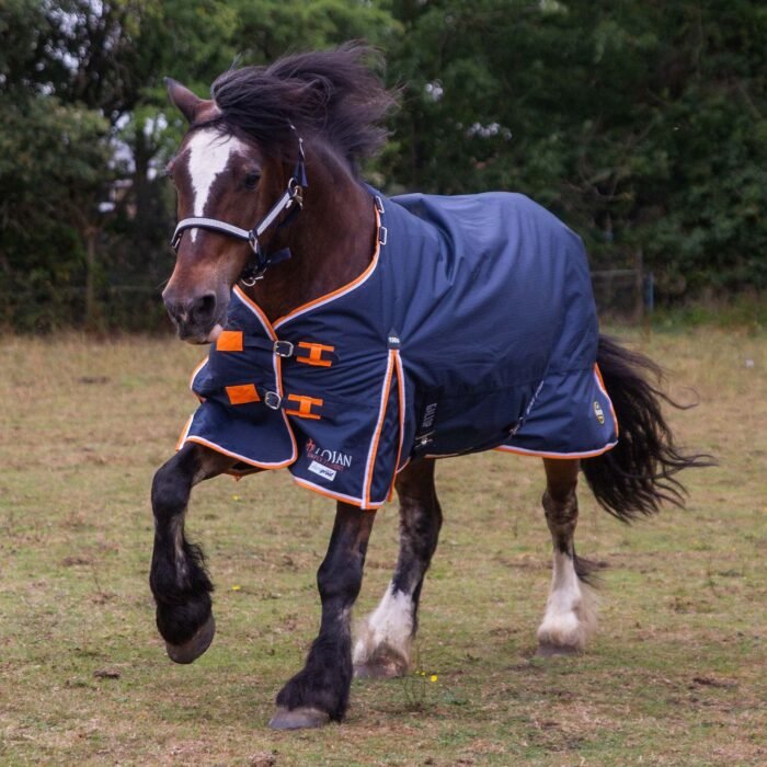 TROJAN Duraproof 100g Turnout